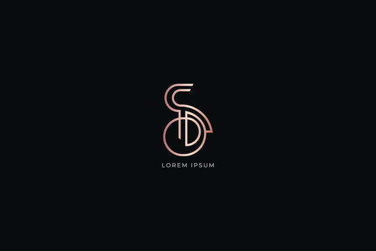 sd letter modern line style fashion brand luxury style design modern style creative golden wordmark design typography illustration, ds wordmark, sd logo