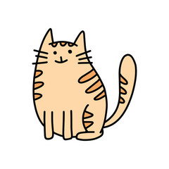 Vector drawing of orange fat cat.