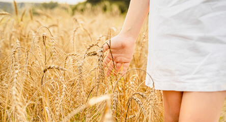 Happy girl legs feet standing walking in white dress in field full of yellow, orange ears of wheat,...