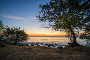 Fototapeta na wymiar Beautiful sunrise on the beach with deep blue sky and tree shadow.