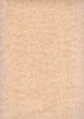 Fototapeta na wymiar A sheet of baking paper in close-up