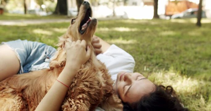 Human animal friendship. English cocker spaniel rests outdoors. young pretty animal. Happy woman hugs and have fun with cocker spaniel dog. Woman playing with her dog. hugs, kiss and pose nicely.