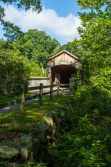 photograph of a covered bridge in the woods