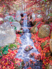 Autumn scenery of the river and autumn leaves in the park