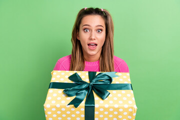 Photo of girlish impressed woman with tails hairdo dressed pink sweater holding gift astonished...