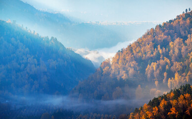 Autumn mountain landscape, forest and fog