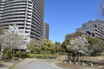 Residential area of Greater Tokyo area (Fujimino, Fujimi City, Saitama Prefectre, Japan)