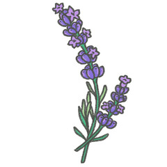 Fototapeta premium Lavender chalk paint