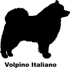 Volpino Italiano dog silhouette dog breeds Animals Pet breeds silhouette