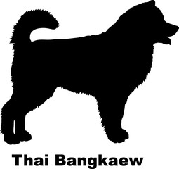 Thai Bangkaew dog silhouette dog breeds Animals Pet breeds silhouette