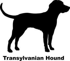 Transylvanian Hound dog silhouette dog breeds Animals Pet breeds silhouette