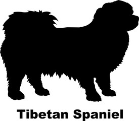 Tibetan Spaniel dog silhouette dog breeds Animals Pet breeds silhouette