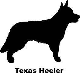 Texas Heeler dog silhouette dog breeds Animals Pet breeds silhouette