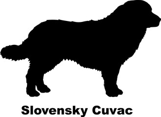 Slovensky Cuvac dog silhouette dog breeds Animals Pet breeds silhouette