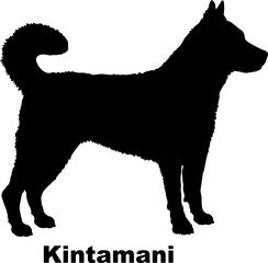 Kintamani dog silhouette dog breeds Animals Pet breeds silhouette