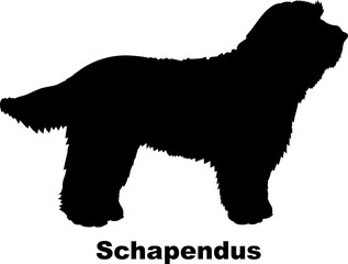 Schapendus dog silhouette dog breeds Animals Pet breeds silhouette
