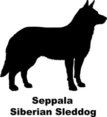 Seppala Siberian Sleddog dog silhouette dog breeds Animals Pet breeds silhouette