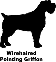 Wirehaired Pointing Griffon dog silhouette dog breeds Animals Pet breeds silhouette