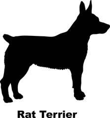 Rat Terrier dog silhouette dog breeds Animals Pet breeds silhouette