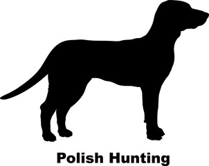  Polish Hunting dog silhouette dog breeds Animals Pet breeds silhouette