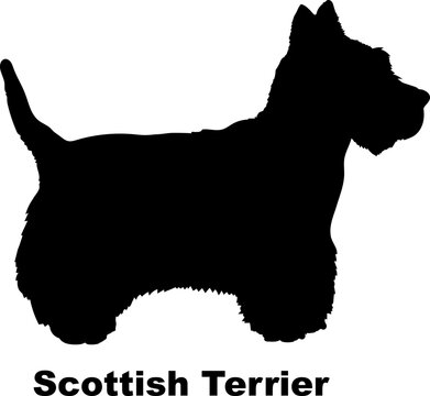 Scottish Terrier dog silhouette dog breeds Animals Pet breeds silhouette