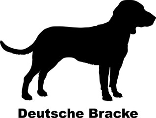Deutsche Bracke dog silhouette dog breeds Animals Pet breeds silhouette