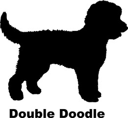 Double Doodle dog silhouette dog breeds Animals Pet breeds silhouette