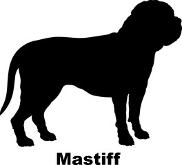 Mastiff. dog silhouette dog breeds Animals Pet breeds silhouette