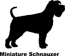 Miniature Schnauzer dog silhouette dog breeds Animals Pet breeds silhouette