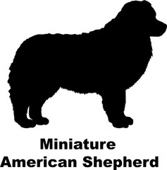 Fototapeta na wymiar Miniature American Shepherd dog silhouette dog breeds Animals Pet breeds silhouette