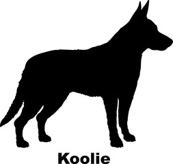  Koolie dog silhouette dog breeds Animals Pet breeds silhouette