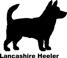 Lancashire Heeler dog silhouette dog breeds Animals Pet breeds silhouette