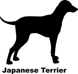 Japanese Terrier dog silhouette dog breeds Animals Pet breeds silhouette