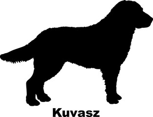Kuvasz dog silhouette dog breeds Animals Pet breeds silhouette