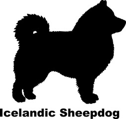  Icelandic Sheepdog dog silhouette dog breeds Animals Pet breeds silhouette