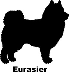 Eurasier dog silhouette dog breeds Animals Pet breeds silhouette
