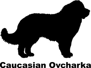 Caucasian Ovcharka dog silhouette dog breeds Animals Pet breeds silhouette