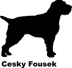 Cesky Fousek dog silhouette dog breeds Animals Pet breeds silhouette