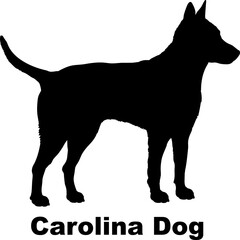 Carolina Dog  silhouette dog breeds Animals Pet breeds silhouette