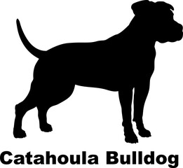 Catahoula Bulldog dog silhouette dog breeds Animals Pet breeds silhouette