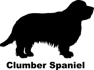 Obraz na płótnie Canvas Clumber Spaniel dog silhouette dog breeds Animals Pet breeds silhouette