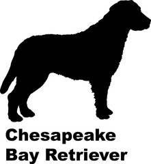 Chesapeake Bay Retriever dog silhouette dog breeds Animals Pet breeds silhouette