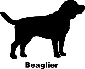 Beaglier dog silhouette dog breeds Animals Pet breeds silhouette