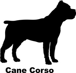Cane Corso dog silhouette dog breeds Animals Pet breeds silhouette