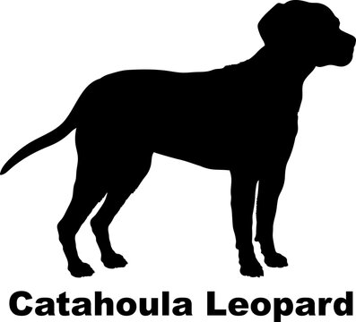 Catahoula Leopard dog silhouette dog breeds Animals Pet breeds silhouette