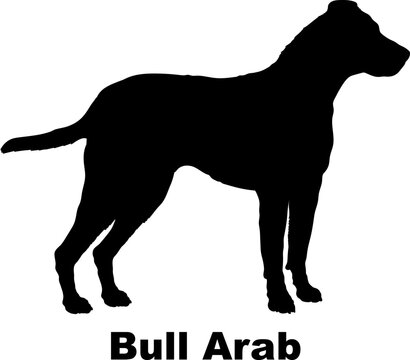 Bull Arab dog silhouette dog breeds Animals Pet breeds silhouette