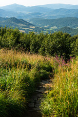 Trekking trial trough wilderness and scenic nature at summer in Bieszczady Mountains, Carpathians, Poland. © marcin jucha