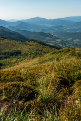 Obraz premium Wilderness and scenic nature and alpine landscape at summer in Bieszczady Mountains, Carpathians, Poland.
