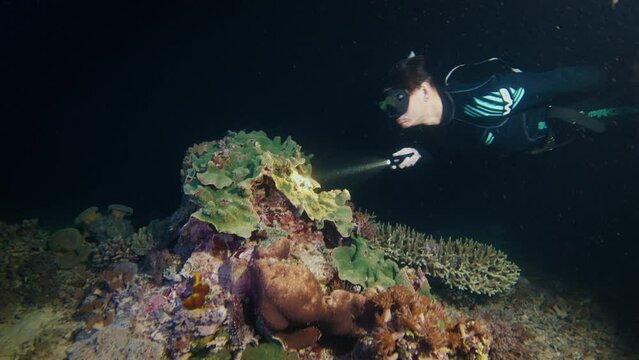 Night freediving and UV light corals shining. Man freediver swims underwater with torch and watches coral reef glows under ultraviolet light
