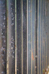 Old metal fence abstract background, close up photo.